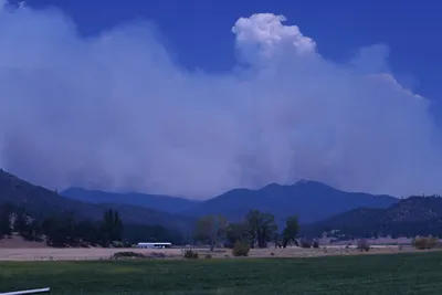 DSC_1867 (Large).JPG